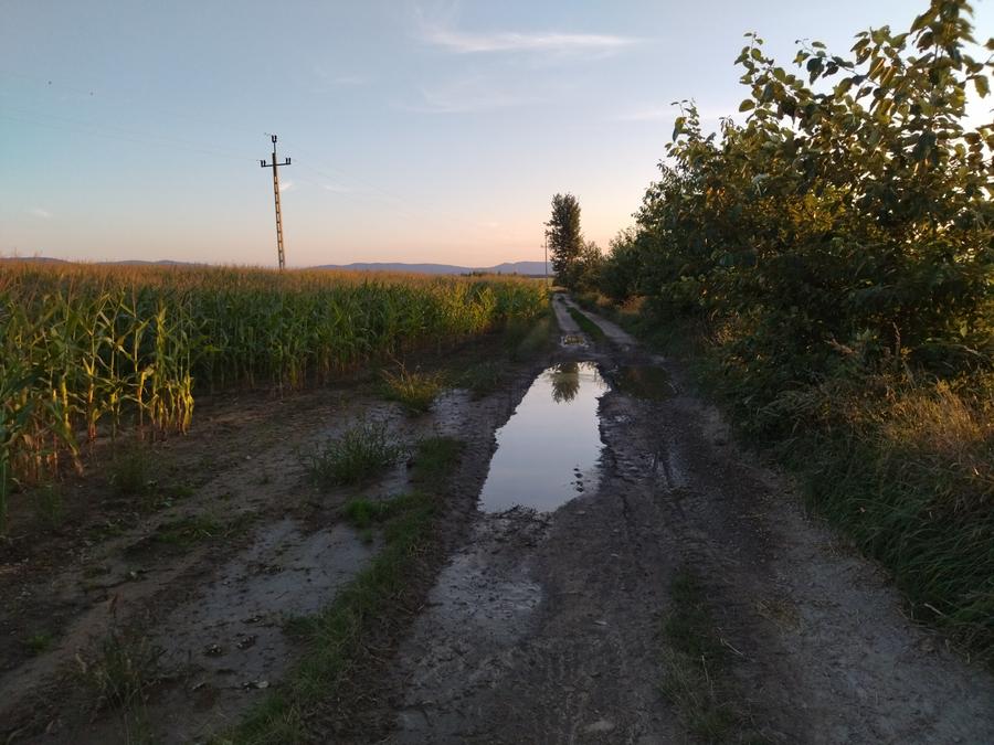 Country road to Piotrowice Nyskie at dusk